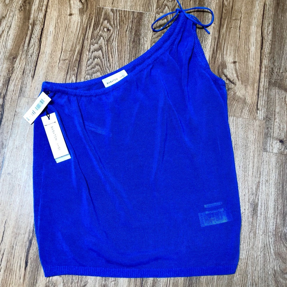 NWT Babaton 1-01 stettheimer sweater cornflower